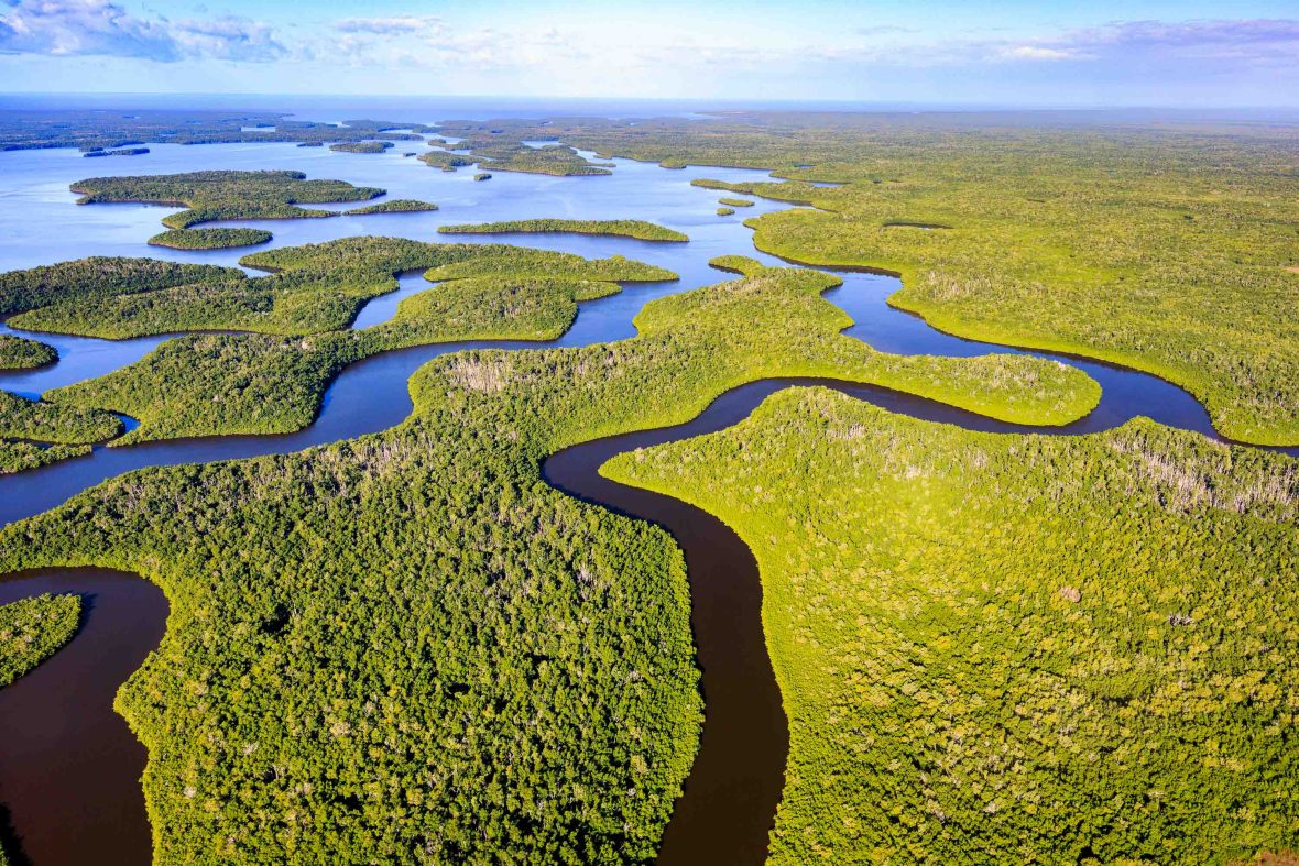 An aerial view looking out over the waterways and trees of the Everglades.