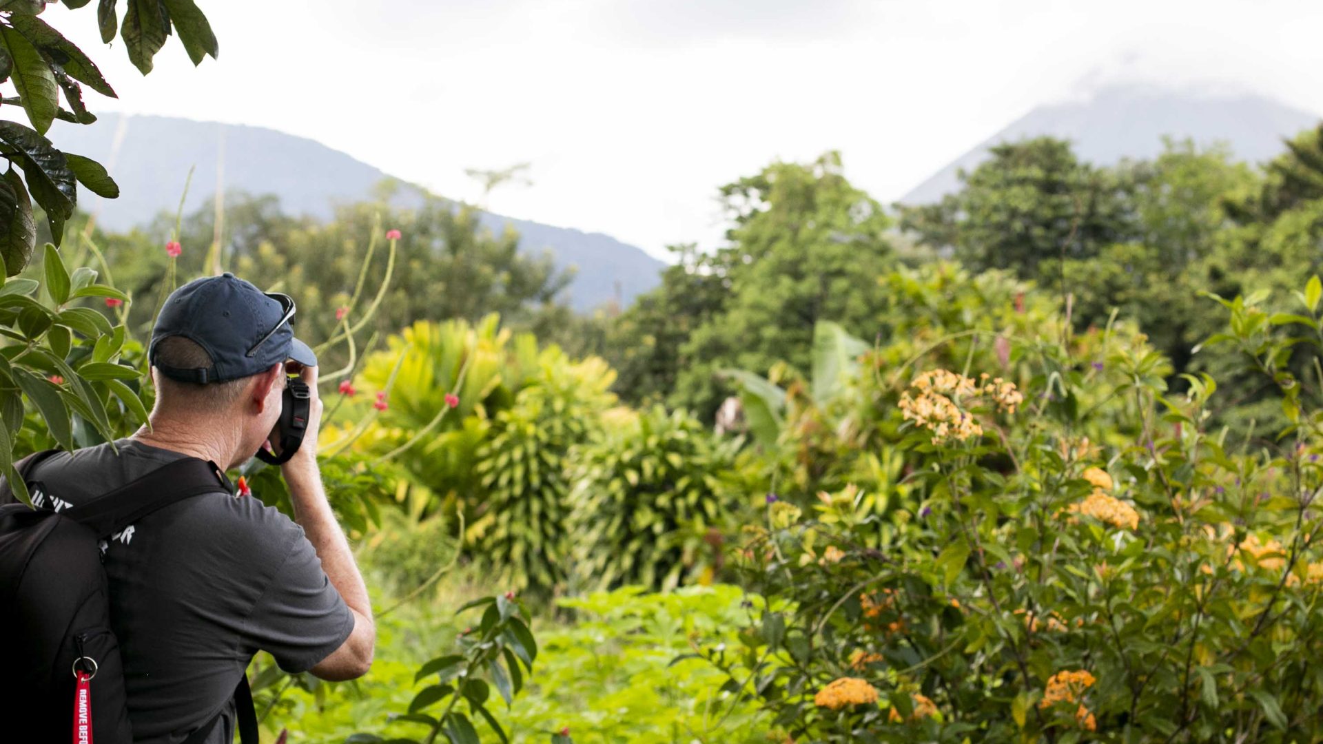 A tourist photographs plants and flowers.