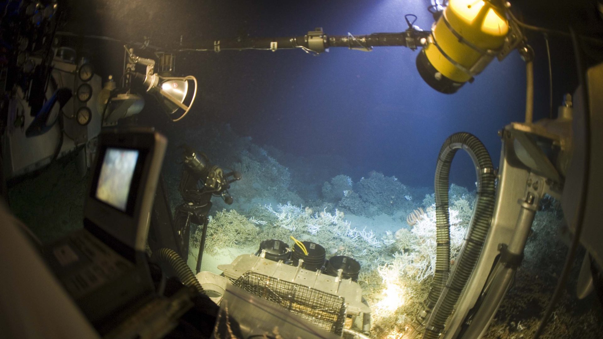 Deep sea reefs are spectacular and barely-explored—they must be conserved