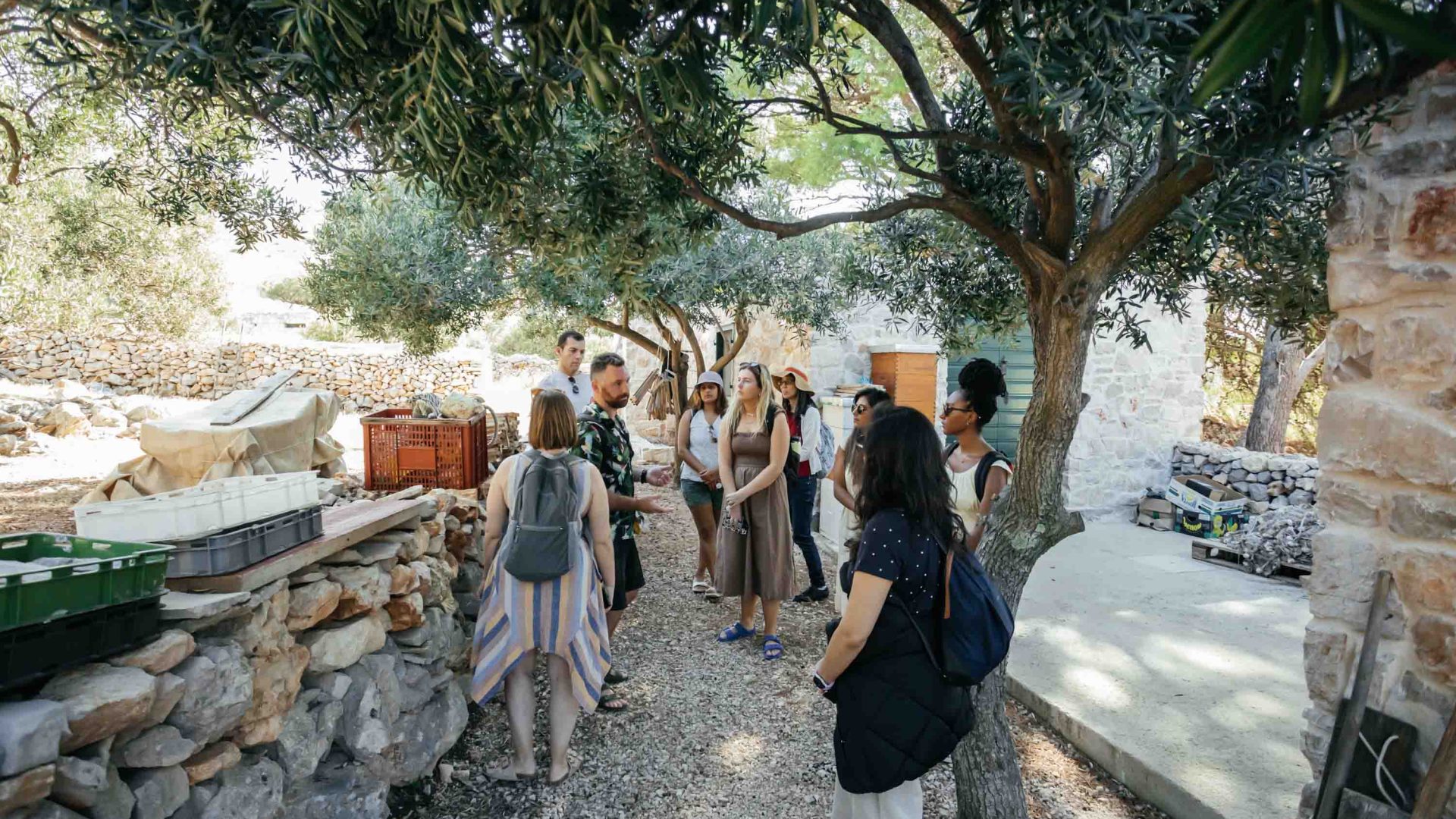 People in the tour stand around as they learn about the olive oil farm.