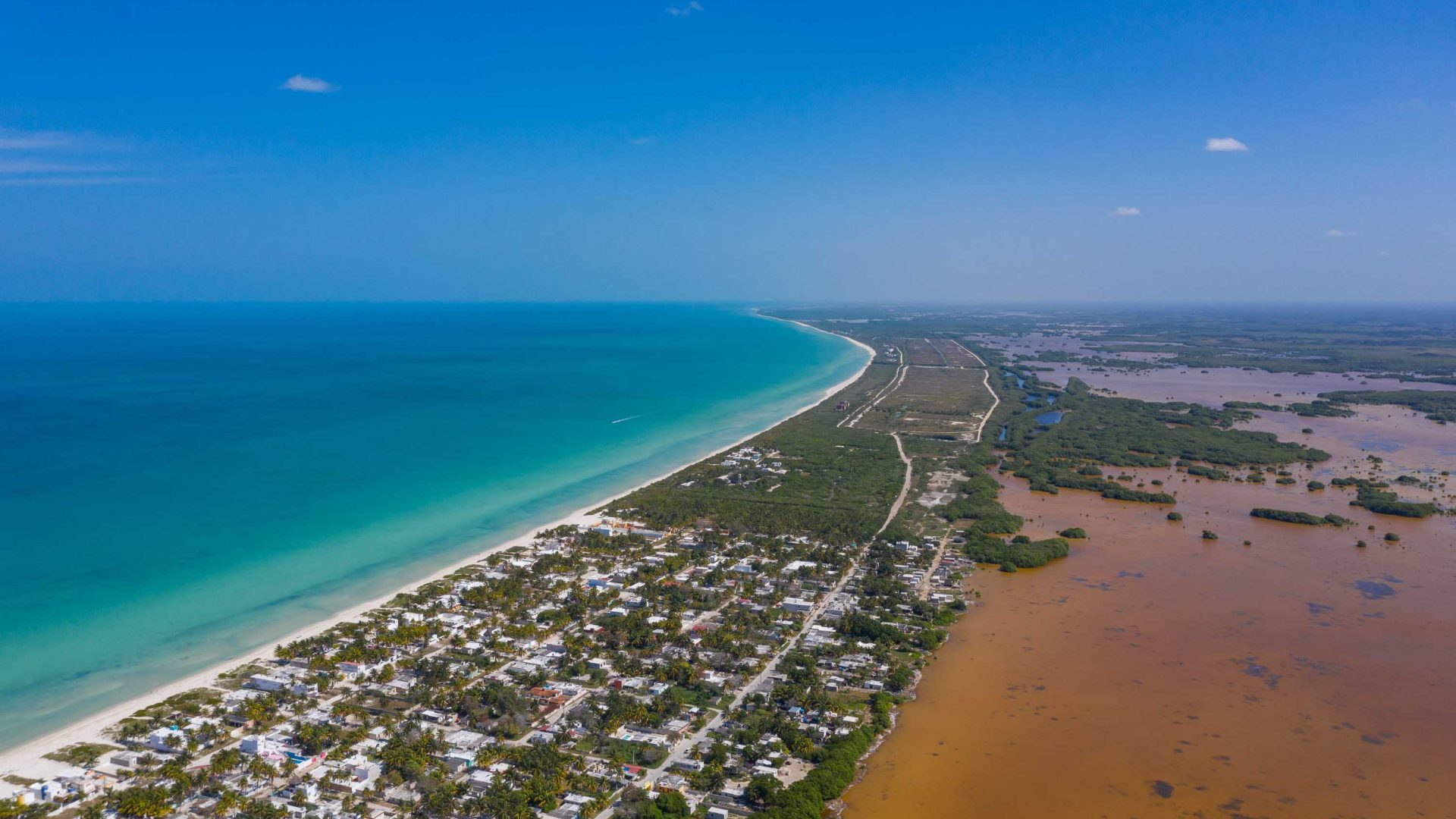 An aerial photo showing brown water, mangroves and green trees, a city and blue water on the other side.